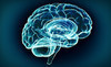 Santa Barbara Brain Fitness Coupons Santa Barbara, California Deals