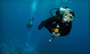Albany Scuba Coupons Albany, Oregon Deals