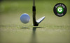 Salt Creek Golf Club Coupons Wood Dale, Illinois Deals