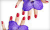 Sonia Salon Coupons Chicago, Illinois Deals