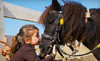 Lemos Farm Coupons Half Moon Bay, California Deals