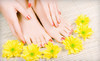 Hair by Polly at Muse Salon and Spa Coupons Boise, Idaho Deals