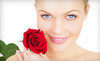 Metamorphosis Coupons Ormond Beach, Florida Deals