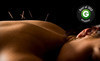 Marshall Back & Body Wellness Center Coupons Houston, Texas Deals
