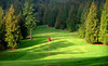 Eighteen Pastures/Tall Timbers Golf Courses Coupons Langley, British Columbia Deals