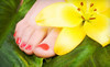 Beautiful Daze Salon Coupons Valrico, Florida Deals