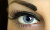 Cocoa Elle Lashes Coupons Dallas, Texas Deals