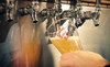 Minhas Craft Brewery Coupons Monroe, Wisconsin Deals