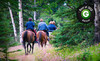 Breckenridge Stables Coupons Breckenridge, Colorado Deals
