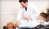 Premier Family Chiropractic Coupons Brentwood, Tennessee Deals