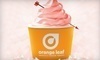 Orange Leaf Coupons Lee's Summit, Missouri Deals