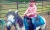 Oregon Dream Ponies Coupons Newberg, Oregon Deals