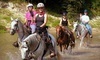 Cypress Trails Equestrian Center Coupons Humble, Texas Deals