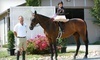 High Standard Equestrians Coupons Elk Grove, California Deals