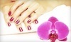 Nail Talk and Hair Coupons Lakewood, Colorado Deals