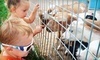 Green Meadows Petting Farm Coupons East Troy, Wisconsin Deals