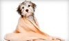 Urban Dogg Coupons Dallas, Texas Deals