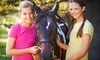 Double H Equestrian Center Coupons Whitmore Lake, Michigan Deals