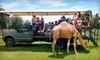 Safari Wilderness Ranch Coupons Lakeland, Florida Deals
