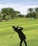 Bloomingdale Golfers Club Coupons Valrico, FL Deals