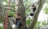 EarthJoy Tree Adventures Coupons Alexandria, Kentucky Deals