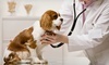 Main Street Veterinary Hospital Coupons Cornelius, North Carolina Deals