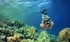 Pearl Harbor Divers Coupons Honolulu, Hawaii Deals