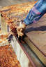 Cleanup Service Coupons  Deals