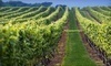 Pindar Vineyards Coupons Peconic, New York Deals