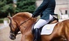 Louisville Equestrian Center Coupons Taylorsville, Kentucky Deals