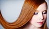 Shine Salon Coupons Brighton, Michigan Deals
