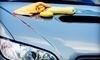 Car Wash Solutions Coupons Brandon, Florida Deals