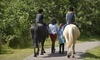 In The Breeze Horse Ranch Coupons Tampa, Florida Deals