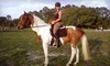 Hidden Acres Rescue for Thoroughbreds Coupons Cocoa, Florida Deals