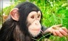 Suncoast Primate Sanctuary Coupons Palm Harbor, Florida Deals