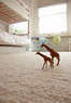 ProCleanersNJ Coupons Morris County, NJ Deals