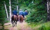 Equine Boulevard Coupons Agawam, Massachusetts Deals