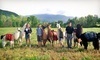 Smoky Mountain Llama Treks Coupons Cosby, Tennessee Deals