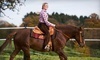 Hollow Tree Ranch Coupons New Braunfels, Texas Deals