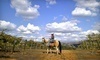 Vineyard Trail Rides Coupons Ramona, California Deals