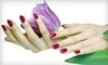 Digitz a Nail Experience Coupons Lake Bluff, Illinois Deals