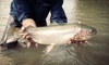Action Angler & Outdoor Center Coupons New Braunfels, Texas Deals