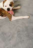 Pro Clean Carpet Care & Restoration Coupons Colorado Springs, CO Deals
