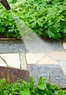 NC Exterior Care Coupons  Deals