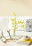 White Pear Interiors Coupons  Deals