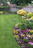 Safe Pest Exterminating Coupons  Deals
