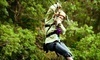 The Adventure Park at Sandy River Retreat Coupons Rice, Virginia Deals