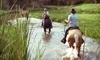 Cowboy Way Adventures Coupons Prescott, Arizona Deals