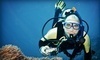 Got Air Scuba Coupons Elk Grove Village, Illinois Deals