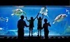 Adventure Aquarium and Elmwood Park Zoo Coupons Camden, New Jersey Deals